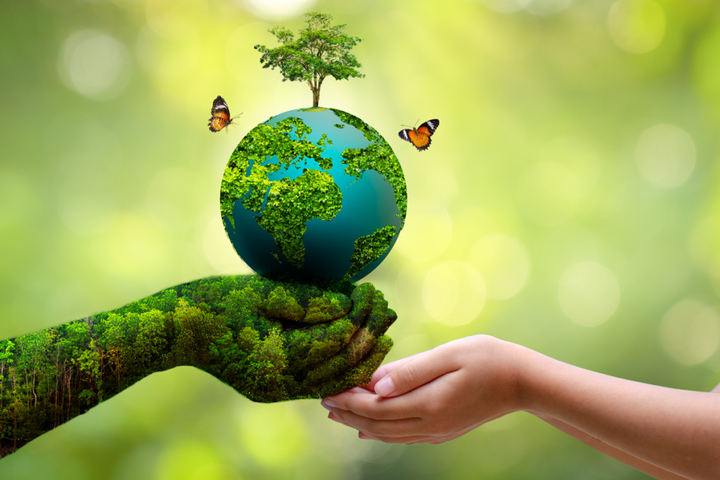 Pengertian Penghijauan: Manfaat & Penting Terhadap Lingkungan